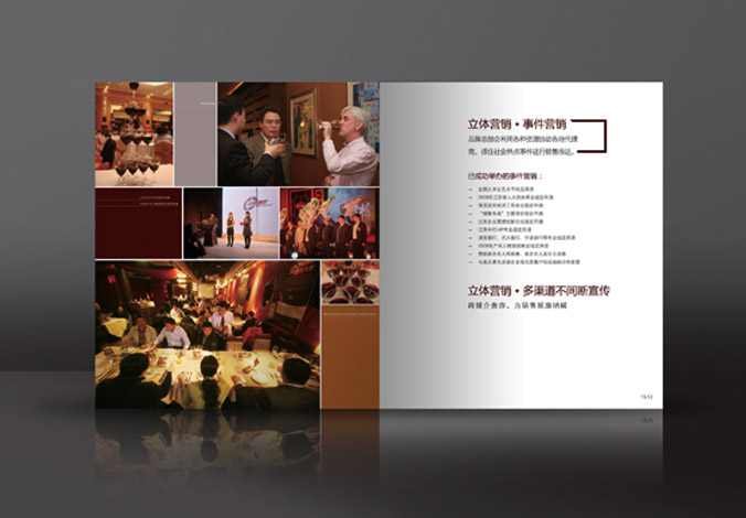 畫冊設計，標志設計，VI設計，交互設計，包裝設計，空間導示，數志視頻，廣告創(chuàng)意設計，博納設計