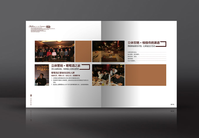 畫冊設計，標志設計，VI設計，交互設計，包裝設計，空間導示，數志視頻，廣告創(chuàng)意設計，博納設計