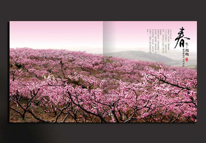 畫冊設(shè)計，標(biāo)志設(shè)計，VI設(shè)計，交互設(shè)計，包裝設(shè)計，空間導(dǎo)示，數(shù)志視頻，廣告創(chuàng)意設(shè)計，博納設(shè)計