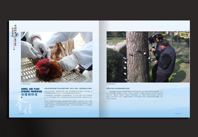 畫冊設(shè)計，標(biāo)志設(shè)計，VI設(shè)計，交互設(shè)計，包裝設(shè)計，空間導(dǎo)示，數(shù)志視頻，廣告創(chuàng)意設(shè)計，博納設(shè)計