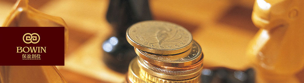 保盈投資