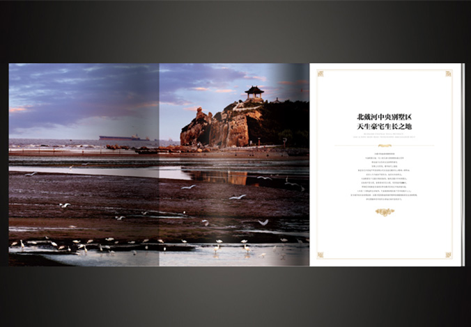 天海頤墅  海報設計  廣告詞創意設計