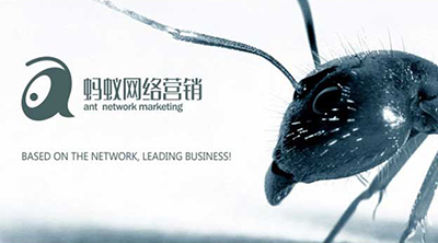 螞蟻網絡營銷