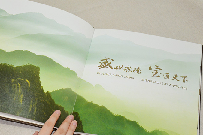 中國盛寶投資集團 畫冊設計 宣傳冊設計 北京彩頁設計 logo設計 商標設計 標志設計 企業logo設計 VI設計 VI設計公司 品牌設計 品牌設計公司