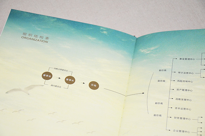 中國盛寶投資集團 畫冊設計 宣傳冊設計 北京彩頁設計 logo設計 商標設計 標志設計 企業logo設計 VI設計 VI設計公司 品牌設計 品牌設計公司