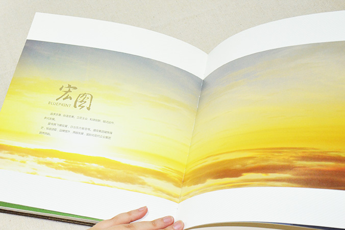 中國盛寶投資集團 畫冊設計 宣傳冊設計 北京彩頁設計 logo設計 商標設計 標志設計 企業logo設計 VI設計 VI設計公司 品牌設計 品牌設計公司