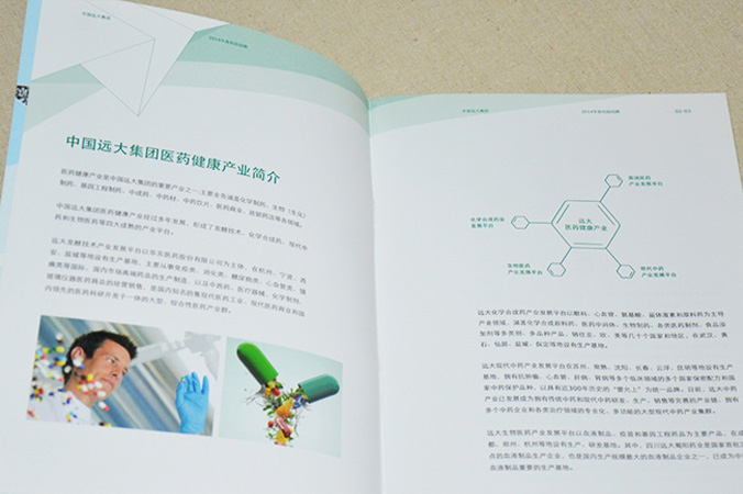 中國遠大集團 畫冊設計 宣傳冊設計 北京彩頁設計 logo設計 商標設計 標志設計 企業logo設計 VI設計 VI設計公司 品牌設計 品牌設計公司