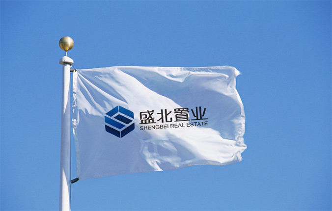 盛北置業 logo設計 商標設計 標志設計 企業logo設計 VI設計 VI設計公司 品牌設計 品牌設計公司 包裝設計 產品包裝設計 包裝盒設計 畫冊設計 宣傳冊設計 北京彩頁設計