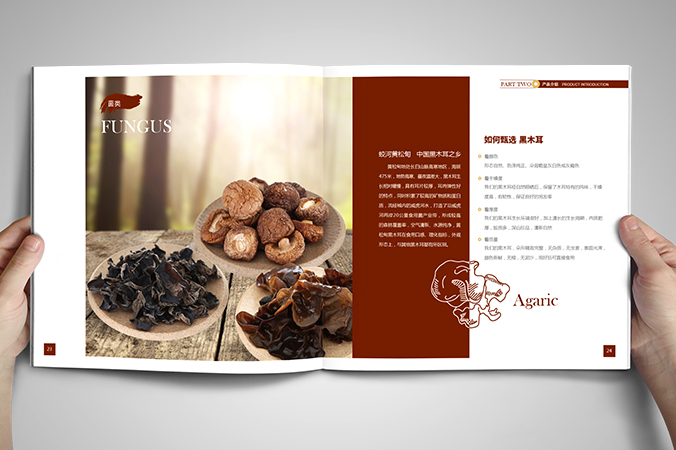 美參堂  北京宣傳冊設計  產品畫冊設計  企業宣傳冊設計