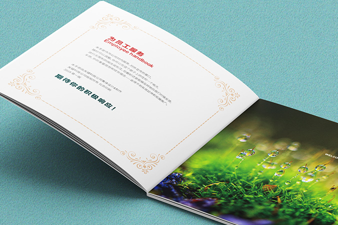 畫冊設計,宣傳冊設計,企業畫冊設計   關鍵科技