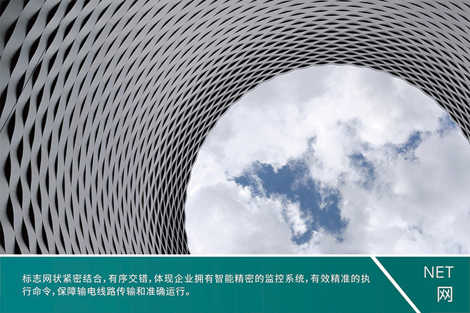 商標設計，產品商標設計，logo設計   中國電科院-風險智控系統