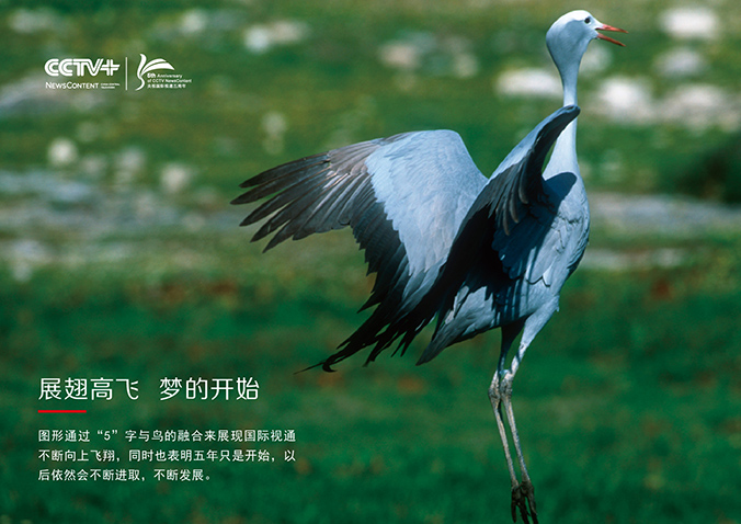 CCTV+五周年 商標設計,logo設計,標志設計