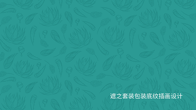 包裝設(shè)計(jì)  北京包裝設(shè)計(jì)  包裝盒設(shè)計(jì)   遮之遮蓋套裝