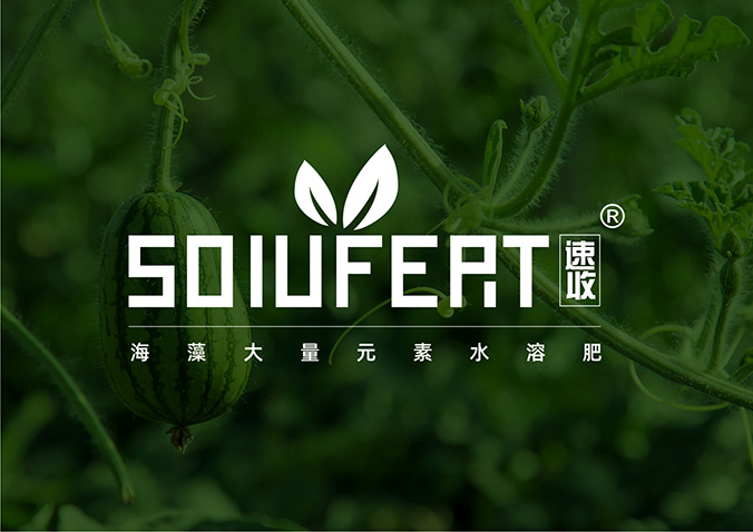 速收 包裝設計 產(chǎn)品包裝設計 包裝盒設計