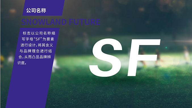 雪域未來 logo設計 公司logo設計 企業標志設計