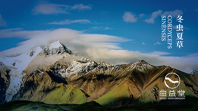 企業logo設計 商標設計 標志設計  曲益堂