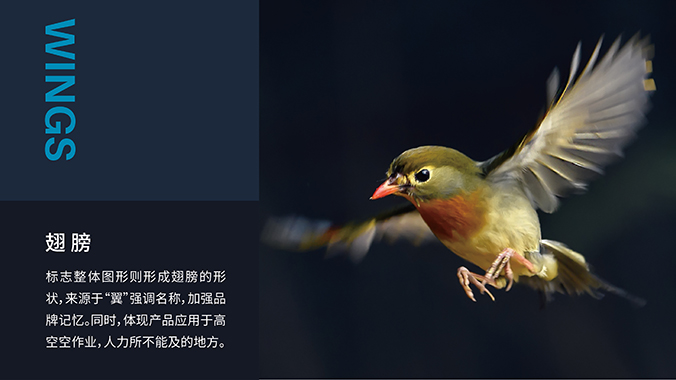 logo設(shè)計  企業(yè)logo設(shè)計 公司標志設(shè)計 翼博-人工智能飛行器