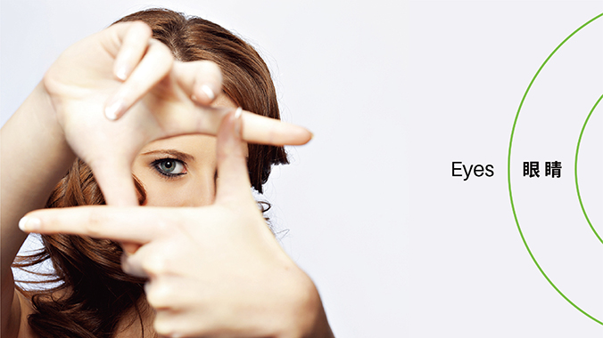 品牌設(shè)計，VI設(shè)計，企業(yè)VI設(shè)計   中知認證