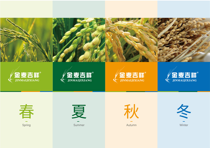 金麥吉  產(chǎn)品包裝設(shè)計 包裝設(shè)計公司  禮盒包裝設(shè)計