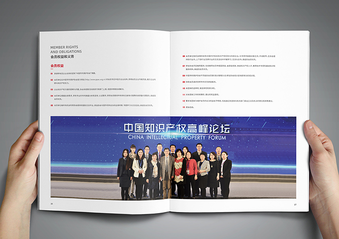 中國專利保護協會  宣傳冊設計,產品畫冊設計,畫冊設計
